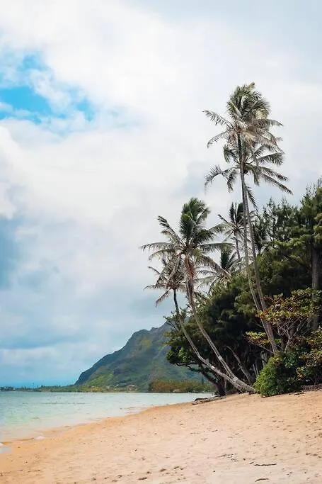 Modern 2 Bedroom Ground Floor Getaway Hau'ula 0*,